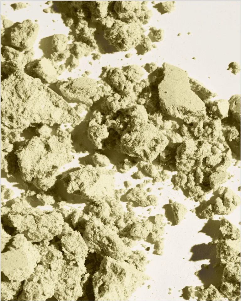 Close-up of Sakara Protein + Greens Super Powder showing fine green powder texture