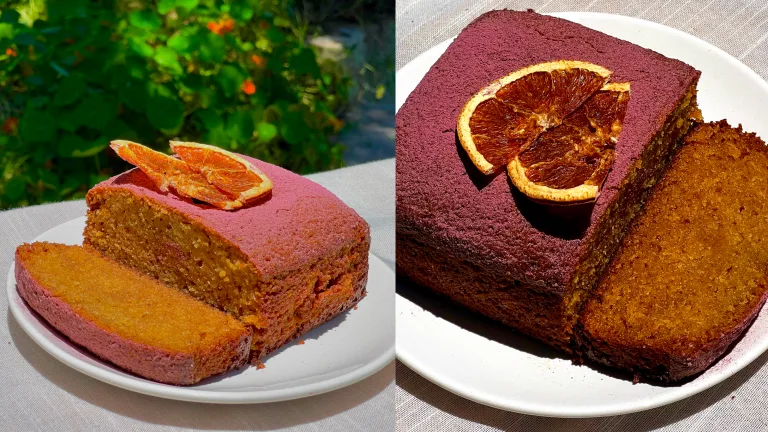 Citrus olive oil cake topped with dried orange slices, with one slice cut and plated.